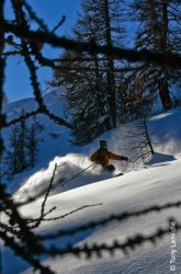 La Grave skiing in forest