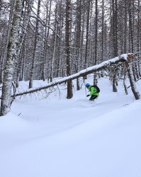 La Grave Poudreuse en forêt